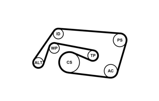 V-Ribbed Belt Set 6PK2260K2 Contitech, Image 2