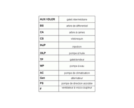 V-Ribbed Belt Set 6PK831 ELAST T1 Contitech, Image 3