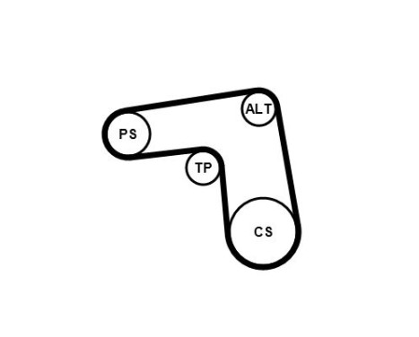 V-Ribbed Belt Set 7PK1076K1 Contitech, Image 3