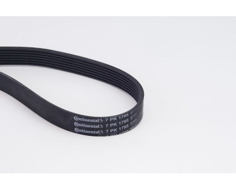 V-Ribbed Belt Set 7PK1795K1 Contitech, Image 4