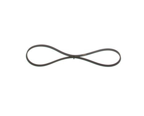 V-Ribbed Belt