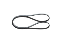 V-Ribbed Belt