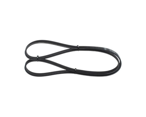 V-Ribbed Belt, Image 3