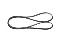 V-Ribbed Belt