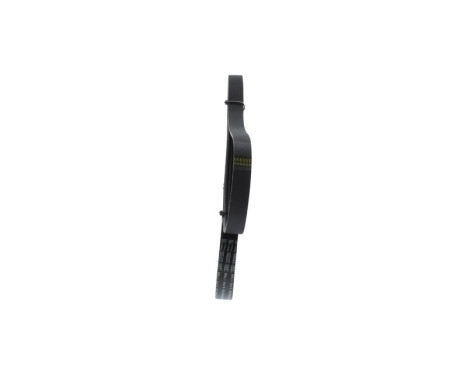 V-Ribbed Belt, Image 4