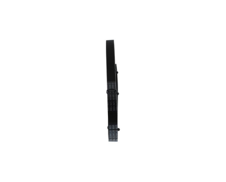 V-Ribbed Belt, Image 2