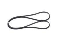 V-Ribbed Belt