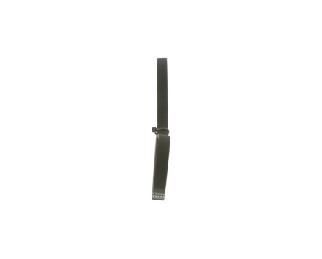 V-Ribbed Belt, Image 4
