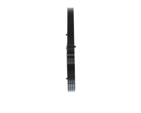 V-Ribbed Belt, Image 8
