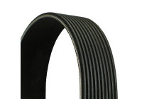 V-Ribbed Belts 10PK1863 Contitech