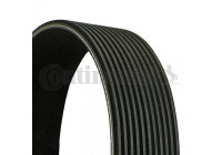 V-Ribbed Belts 11PK 1515 Contitech