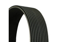 V-Ribbed Belts 11PK1890 Contitech