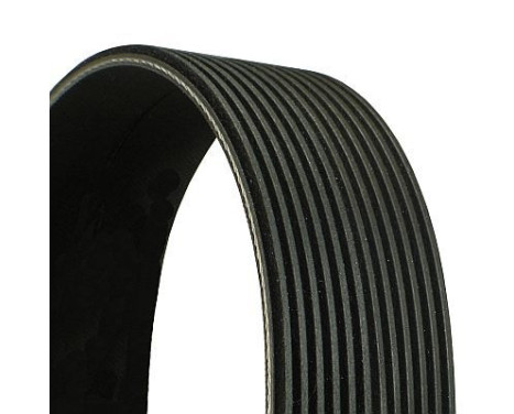 V-Ribbed Belts 12PK1835 Contitech