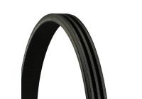 V-Ribbed Belts 3PK675 Contitech