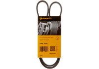 V-Ribbed Belts 4PK1000 Contitech