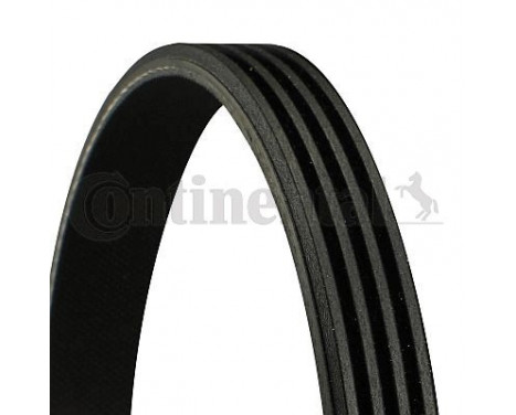 V-Ribbed Belts 4PK1010 Contitech, Image 2