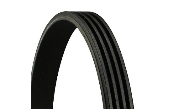 V-Ribbed Belts 4PK1010 Contitech, Image 2