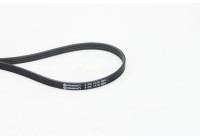 V-Ribbed Belts 4PK1170 Contitech