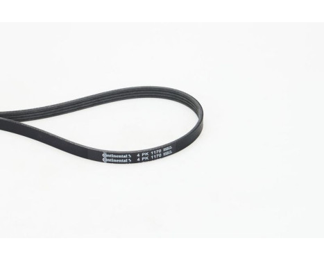 V-Ribbed Belts 4PK1170 Contitech