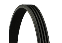 V-Ribbed Belts 4PK830 Contitech