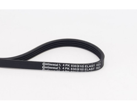 V-Ribbed Belts 4PK830 ELAST Contitech, Image 2