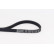 V-Ribbed Belts 4PK830 ELAST Contitech, Thumbnail 2