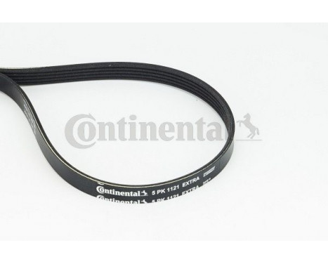 V-Ribbed Belts 5PK1121 EXTRA Contitech, Image 3