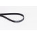 V-Ribbed Belts 5PK1255 Contitech, Thumbnail 2