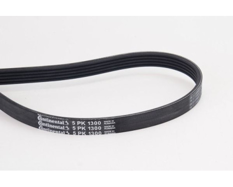 V-Ribbed Belts 5PK1300 Contitech, Image 2