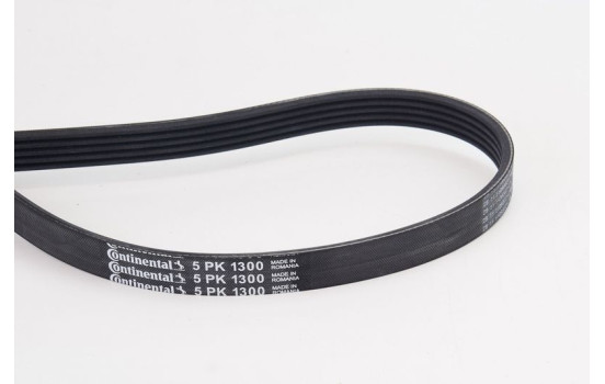 V-Ribbed Belts 5PK1300 Contitech, Image 2