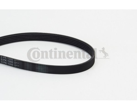V-Ribbed Belts 5PK1355 Contitech, Image 2
