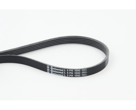 V-Ribbed Belts 5PK1592 Contitech, Image 2