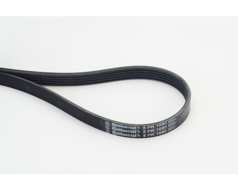 V-Ribbed Belts 5PK1680 Contitech, Image 2