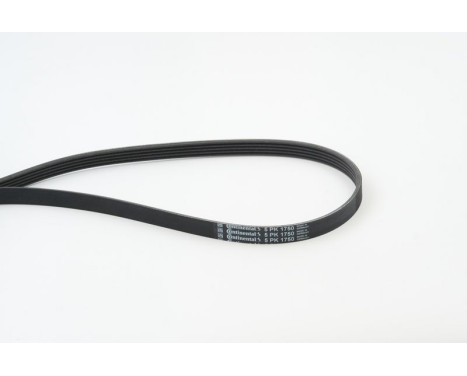 V-Ribbed Belts 5PK1750 Contitech, Image 2