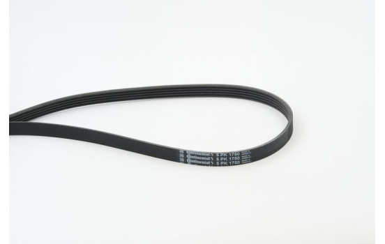 V-Ribbed Belts 5PK1750 Contitech, Image 2