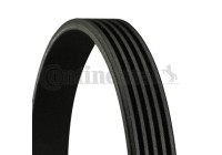 V-Ribbed Belts 5PK1855 Contitech