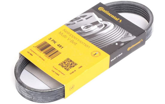 V-Ribbed Belts 5PK491 Contitech