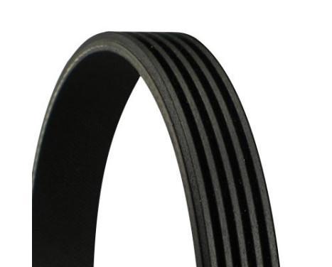 V-Ribbed Belts 5PK725 Contitech, Image 2