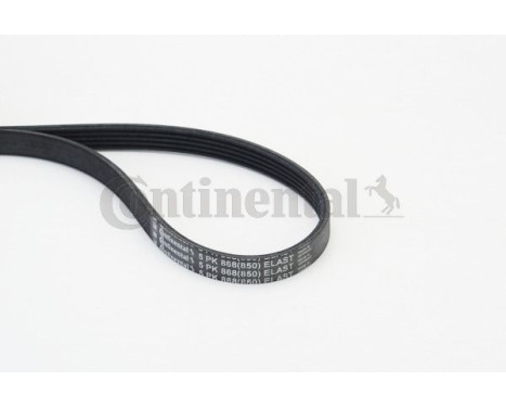 V-Ribbed Belts 5PK868 ELAST Contitech, Image 2
