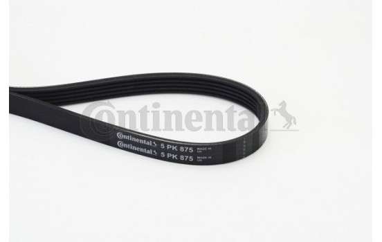 V-Ribbed Belts 5PK875 Contitech