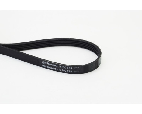 V-Ribbed Belts 5PK875 Contitech