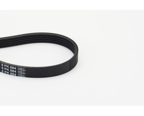 V-Ribbed Belts 5PK884 Contitech, Image 2