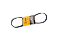 V-Ribbed Belts 5PK900 Contitech