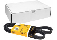 V-Ribbed Belts 6DPK1195 Contitech