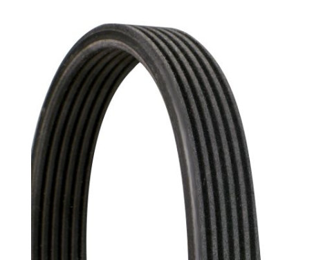 V-Ribbed Belts 6DPK1195 Contitech, Image 2