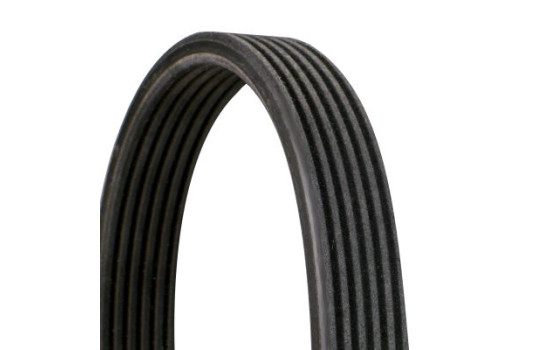 V-Ribbed Belts 6DPK1237 Contitech