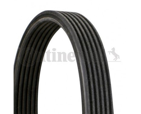 V-Ribbed Belts 6DPK1320 Contitech, Image 2