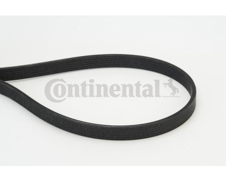 V-Ribbed Belts 6DPK1817 Contitech, Image 2
