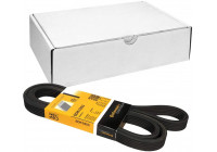 V-Ribbed Belts 6DPK1853 Contitech