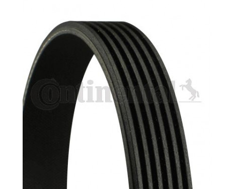 V-Ribbed Belts 6PK1019 ELAST Contitech, Image 2
